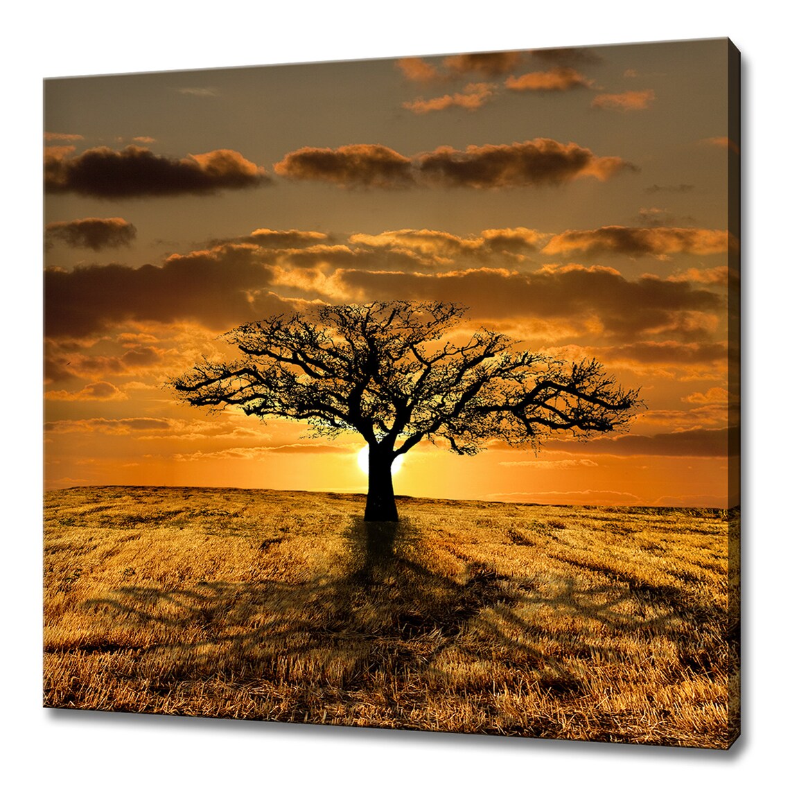 Golden Sunset Lonely Tree, Modern Landscape Art Print
