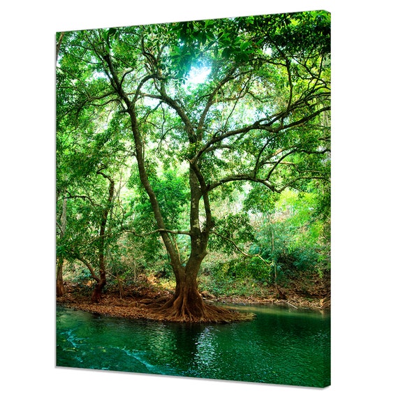 Green Tree River in Deep Forest, Modern Art Print