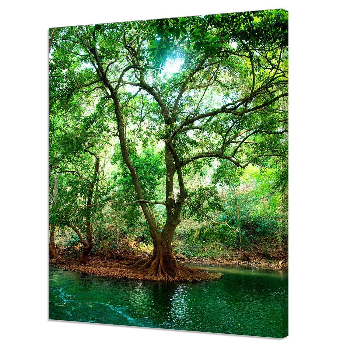 Green Tree River in Deep Forest, Modern Art Print
