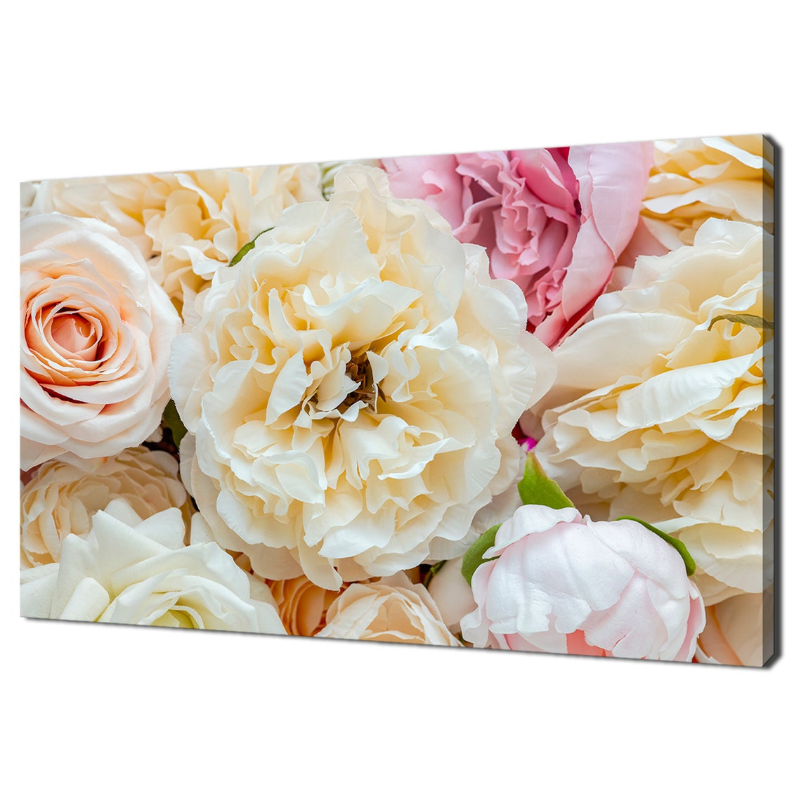 Blush Pink White Peony Roses Bouquet Soft Pastel Floral Photo Poster