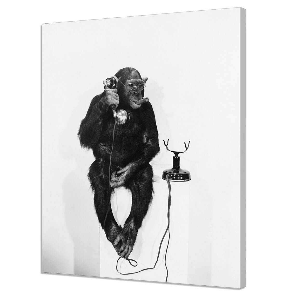 Monkey Talking On The Phone, Modern Animal Art Print