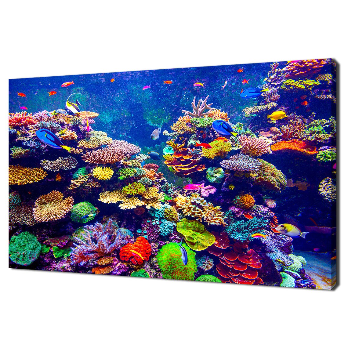 Coral Reef And Tropical Fish, Modern Art Print