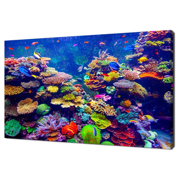 Coral Reef And Tropical Fish, Modern Art Print