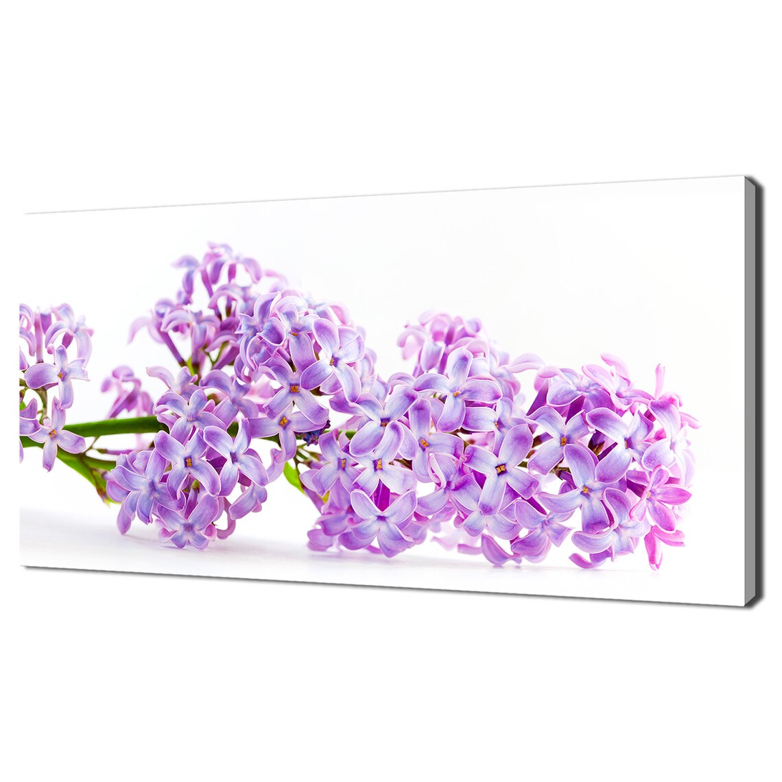 Purple Lilac Spring Flowers Minimalist Floral Wall Art Print