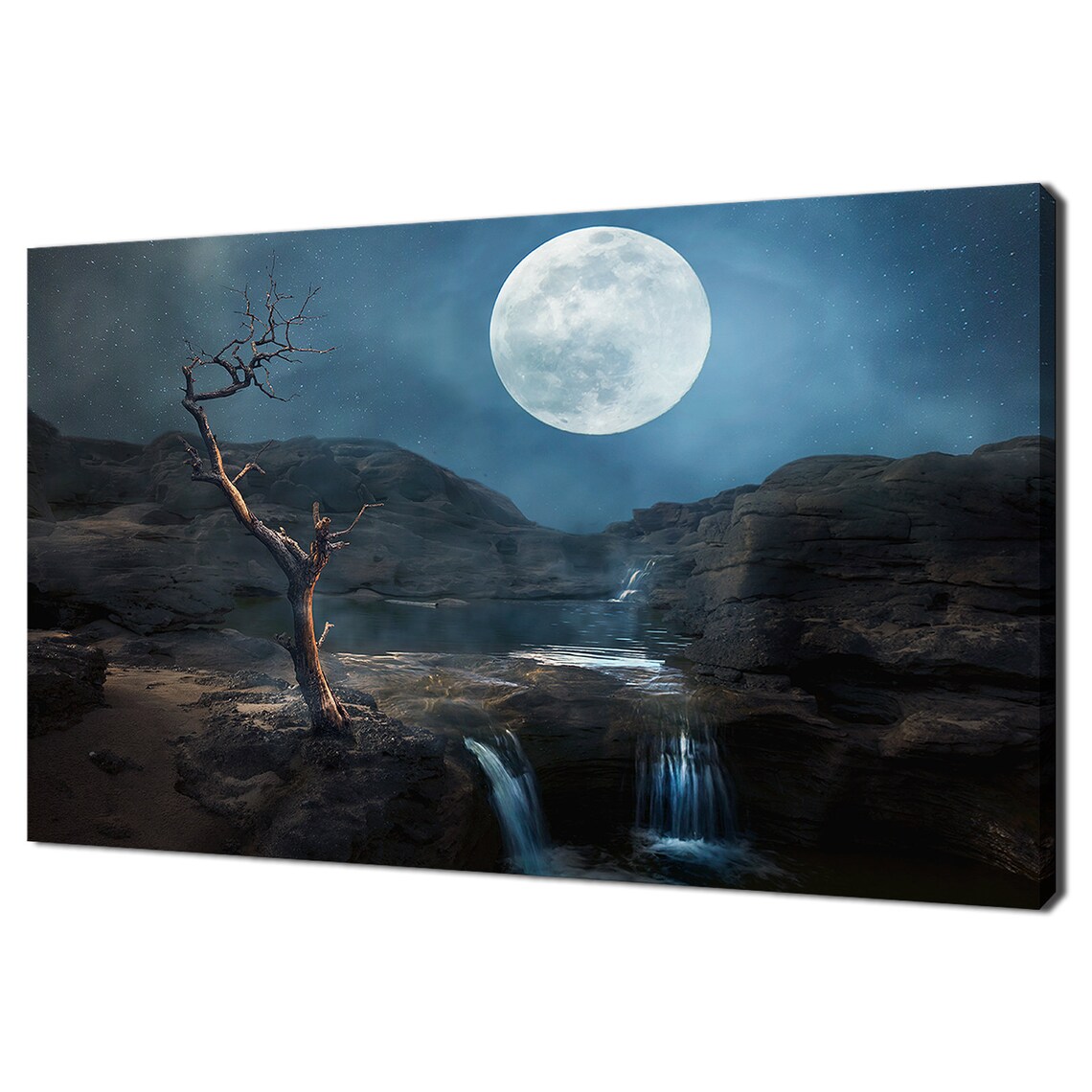 Waterfall Dry Tree At Full Moon Night, Art Print