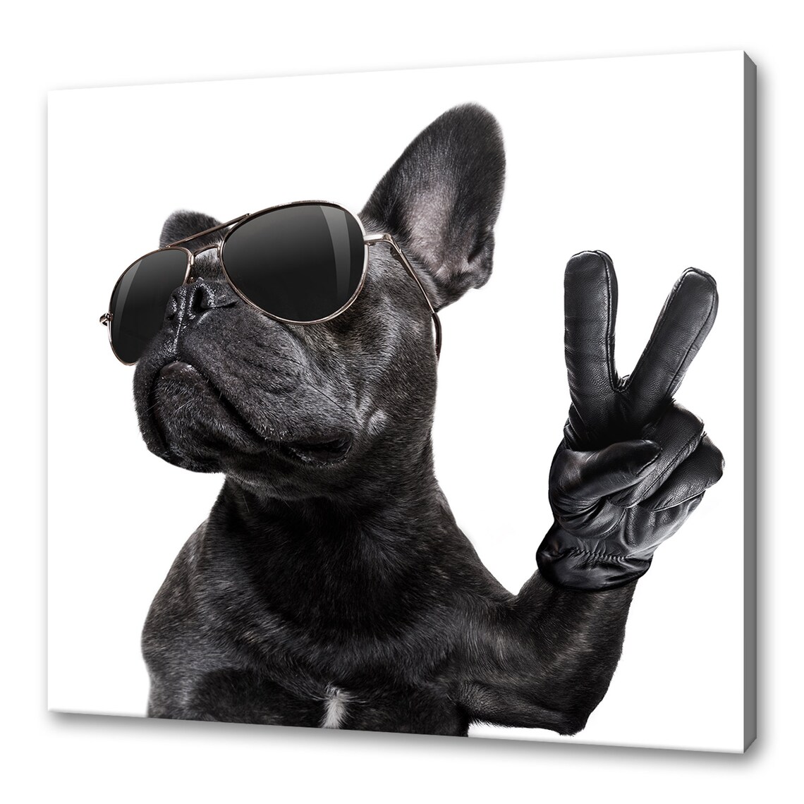French Bulldog in Glasses, Peace Sign Modern Art Print