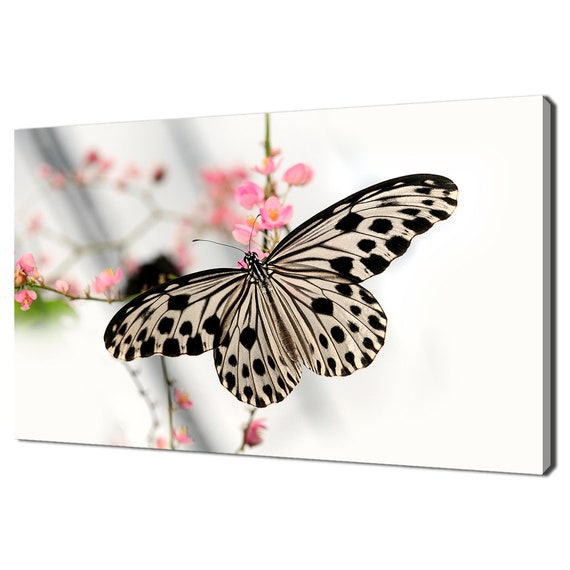 Beautiful Black And White Butterfly On Pink Blossom Flowers Modern Design Home Decor Print Wall Art Picture Wall Hanging