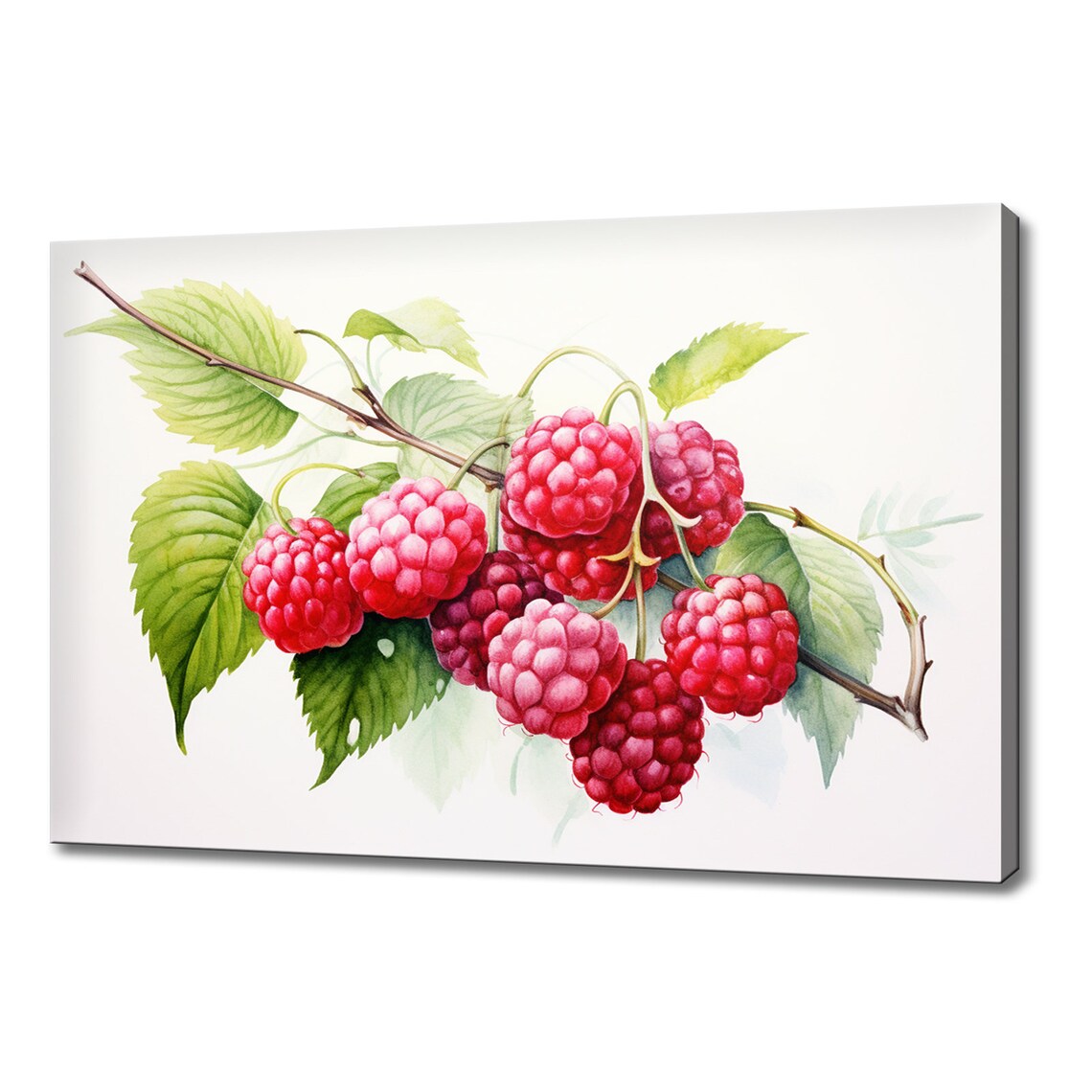 Raspberries Fruits Watercolour Print Colourful Kitchen Wall Art Raspberry Fruit Print Modern Kitchen Restaurant Wall Decor