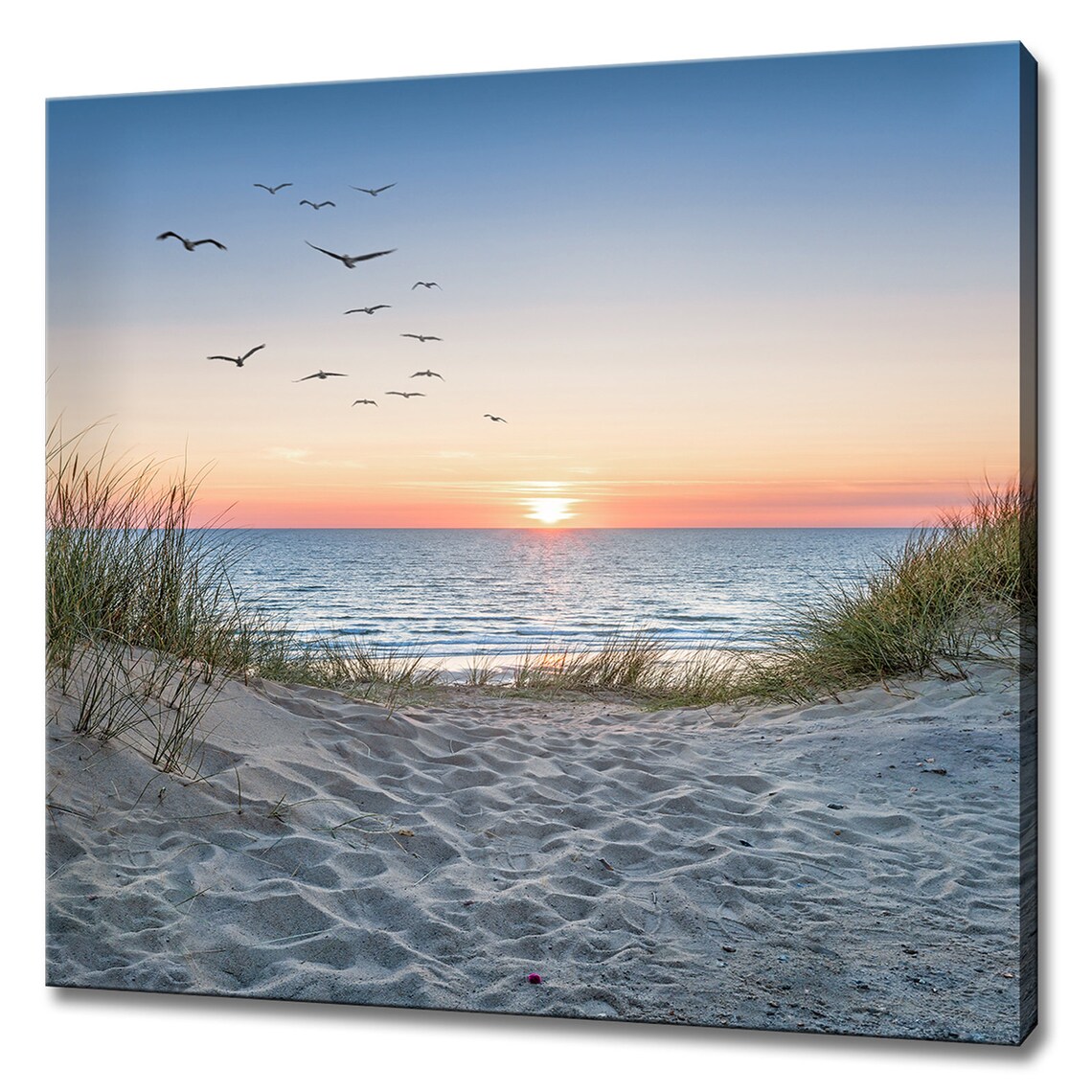 Sunny Beach Dunes and Birds, Modern Wall Art Print