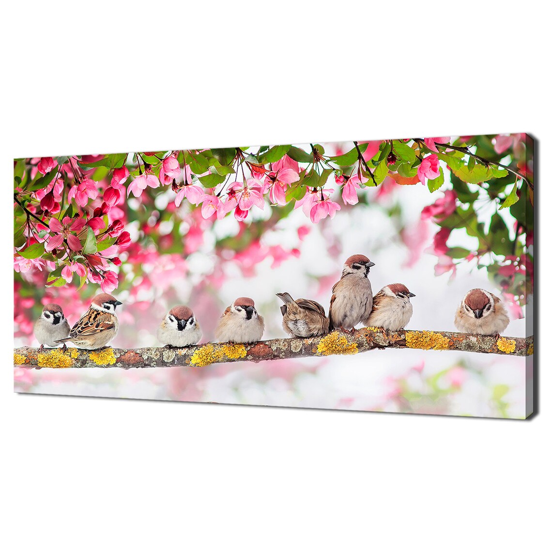 Sparrows on Branch, Spring Park Bird Art Print
