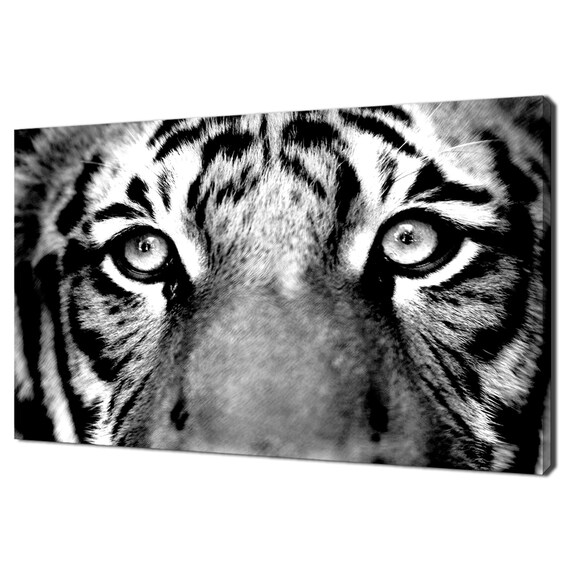 White Tiger Eyes Close Up Black White Monochrome Wild Cat Face Art Poster