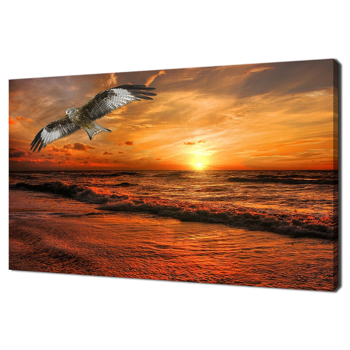 Red Kite Eagle Sunset Seascape Art Print