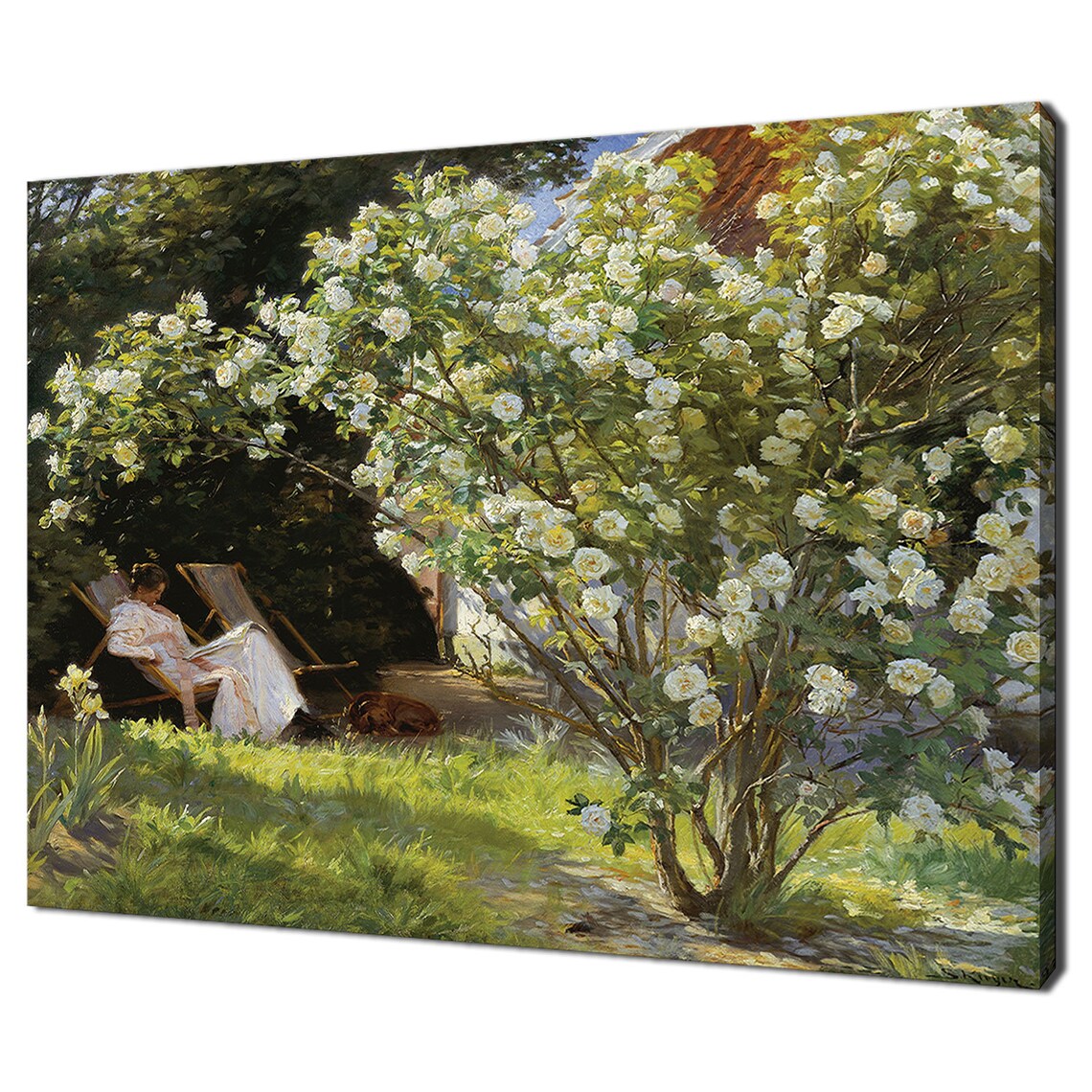 Kroyer Roses 1893 Woman Deckchair Garden Vintage Oil Painting Print