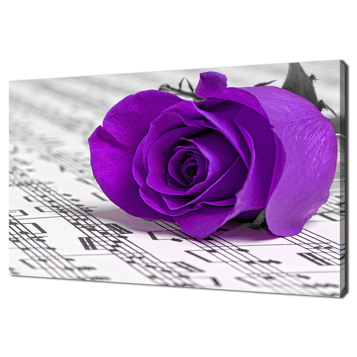 Purple Rose With Music Notes, Modern Art Print