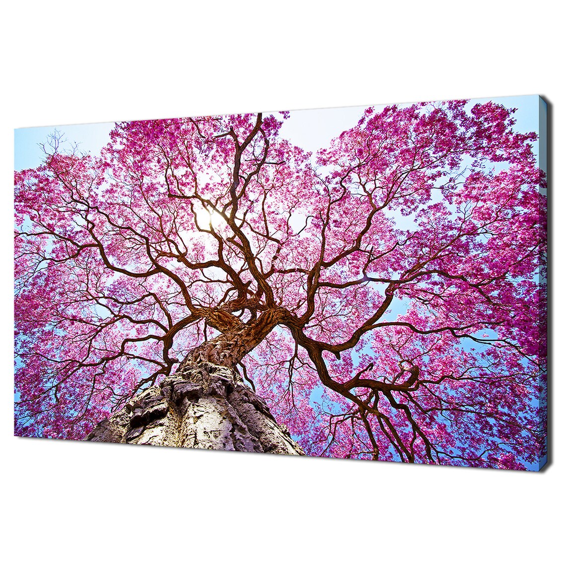 Beautiful Pink Lapacho Tree At Sunset Modern Design Home Decor Print Wall Art Picture
