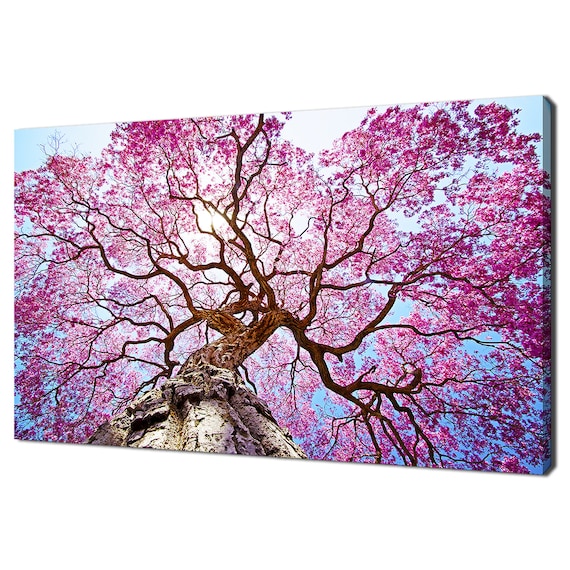 Beautiful Pink Lapacho Tree At Sunset Modern Design Home Decor Print Wall Art Picture