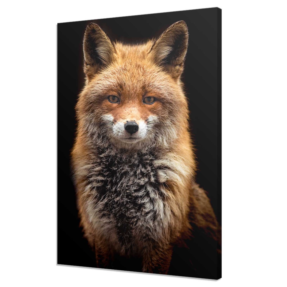 Red Ginger Fox Wildlife Portrait Dark Background Animal Poster
