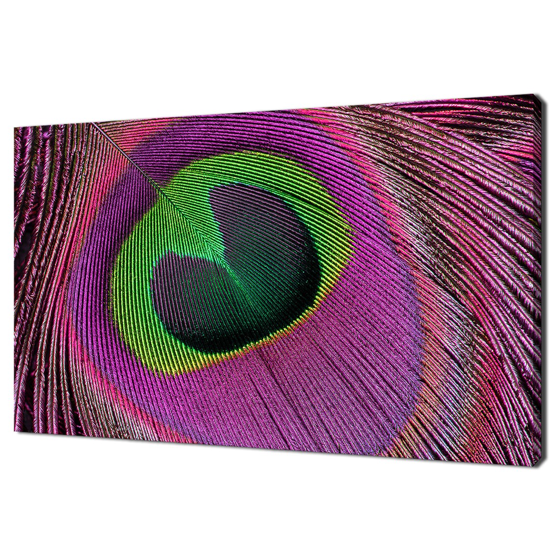 Pink Purple Peacock Feather Macro Eye Detail Colorful Nature Poster