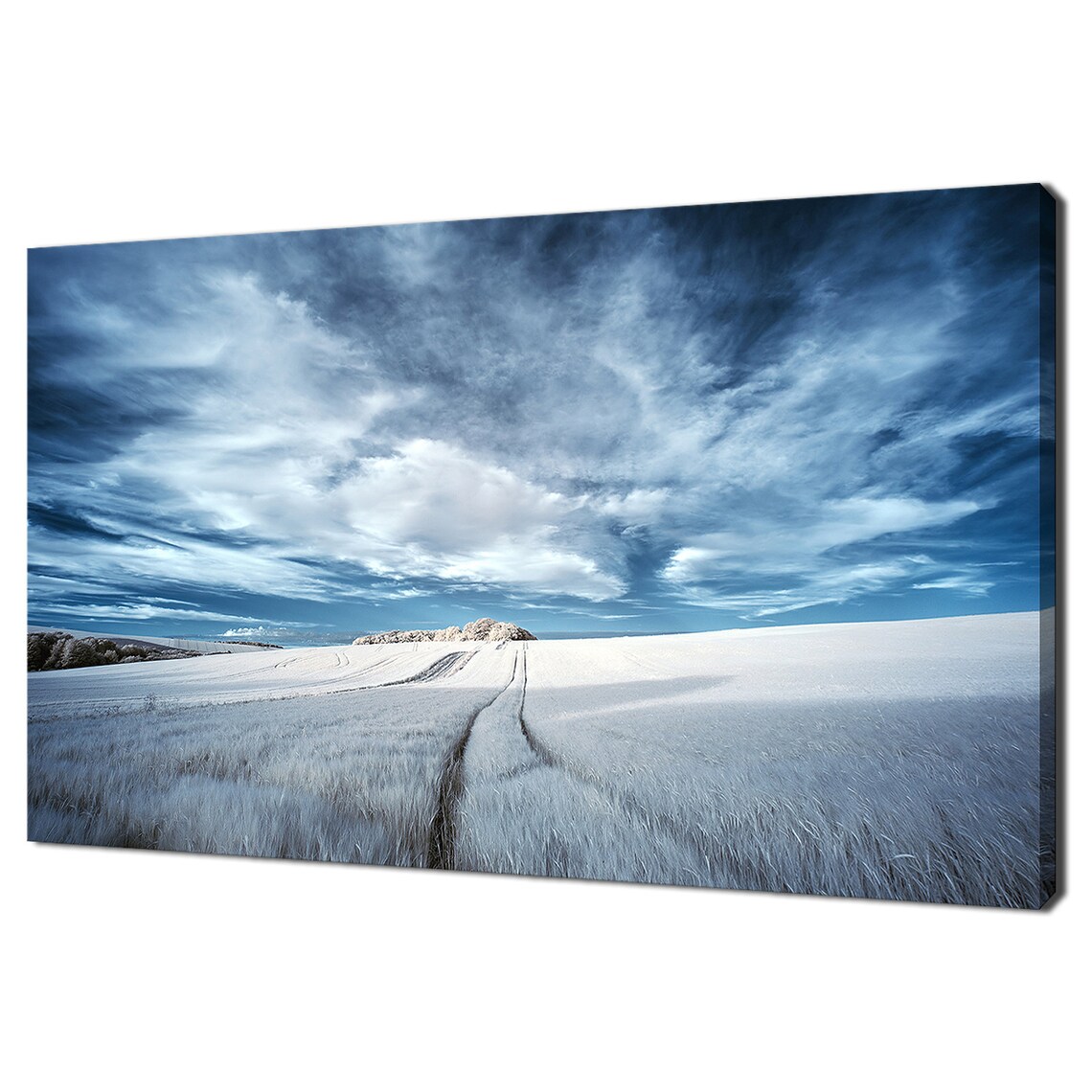 Summer Landscape Fields Blue Sky, Modern Design