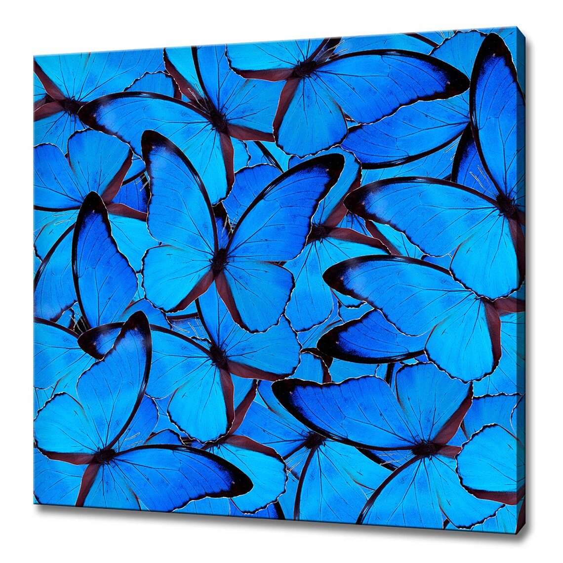 Blue Butterflies, Modern Design Home Decor Wall Art Print