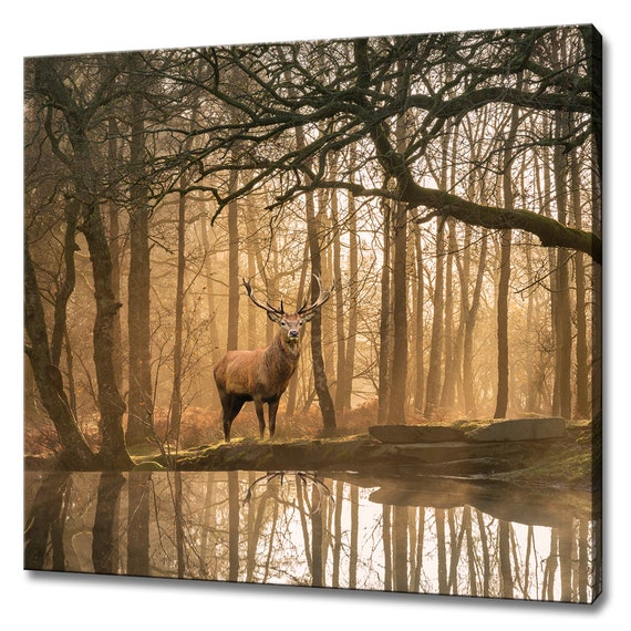 Red Deer Stag In The Autumn Forest, Modern Decor
