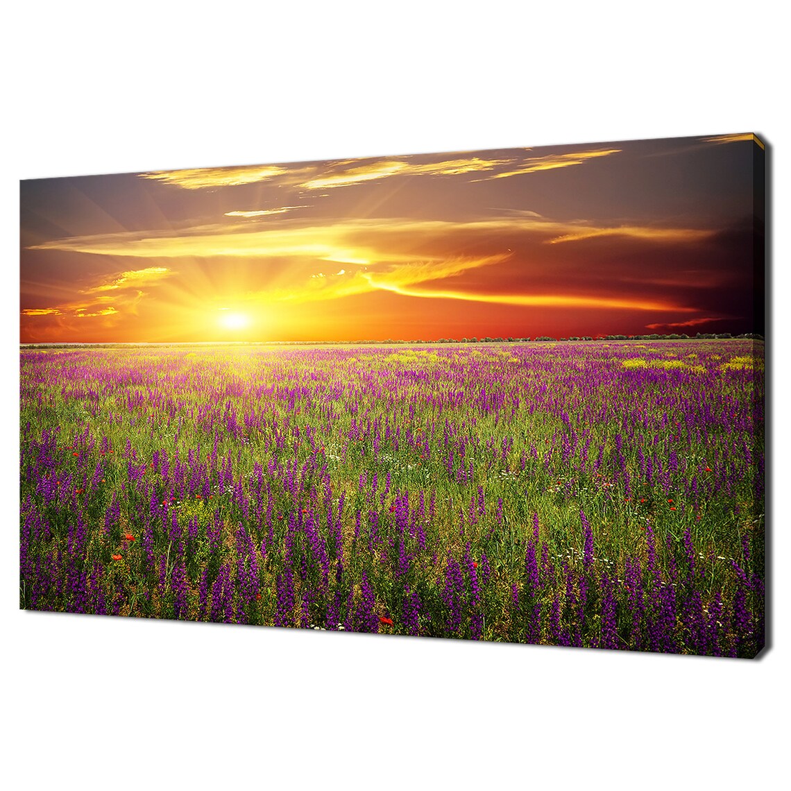 Purple Wildflower Field At Sunset Golden Sky Landscape Nature Poster