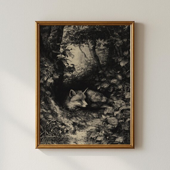 Sleeping Fox in Woodland Black and White Vintage Etching Art Print