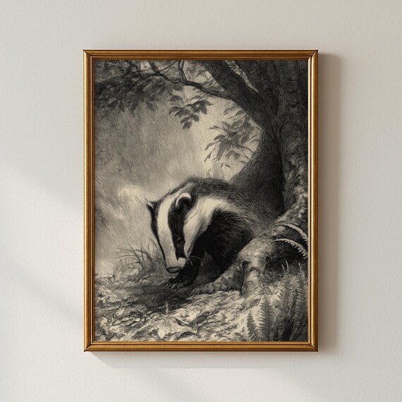 Vintage Badger in Woodland Etching Wildlife Nature Scene Art Poster