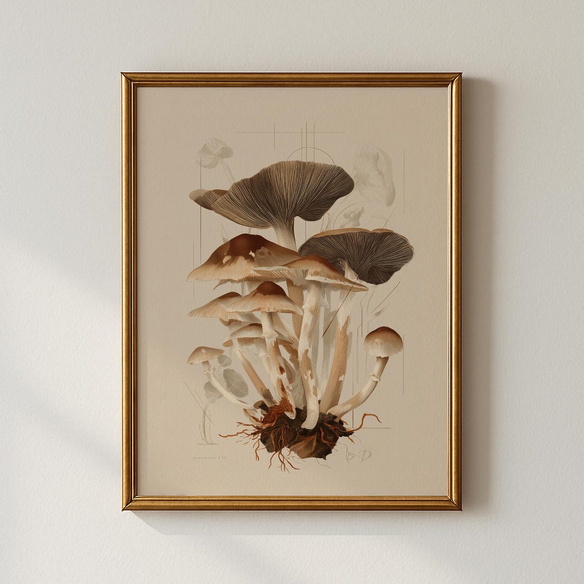 Vintage Mushroom Botanical Study Neutral Mycology Illustration Poster