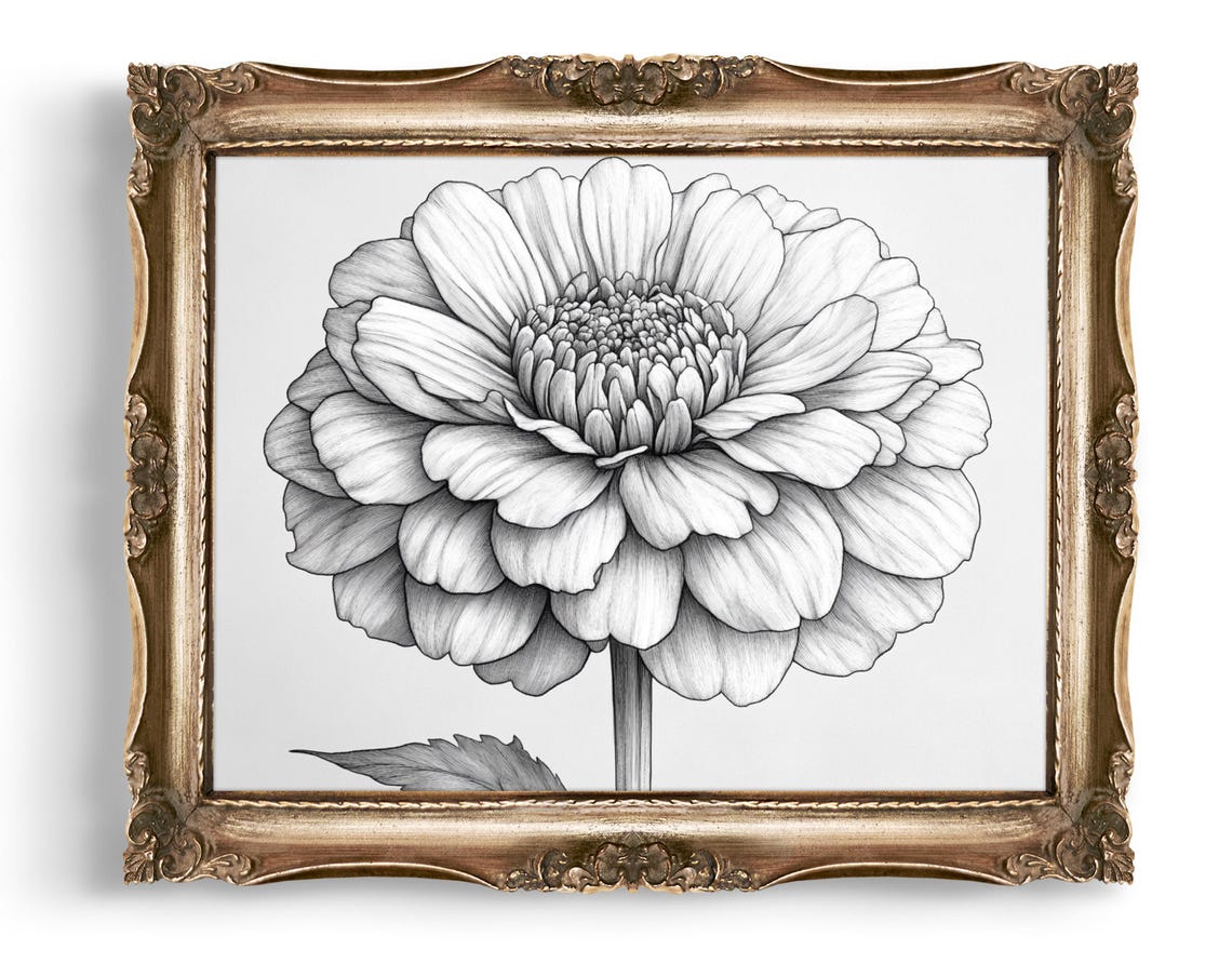 Dahlia Flower Line Art Botanical Print Floral Wall Minimalist Black And White Illustration
