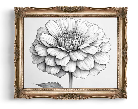 Dahlia Flower Line Art Botanical Print Floral Wall Minimalist Black And White Illustration