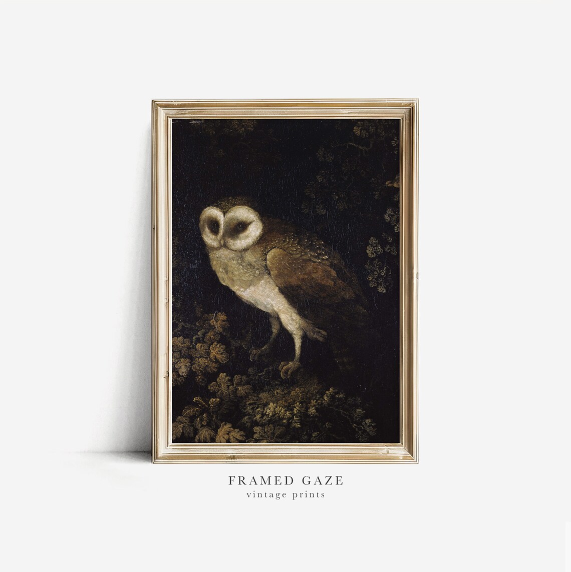 Barn Owl Night Perch Dark Moody Wildlife Vintage Animal Art Poster