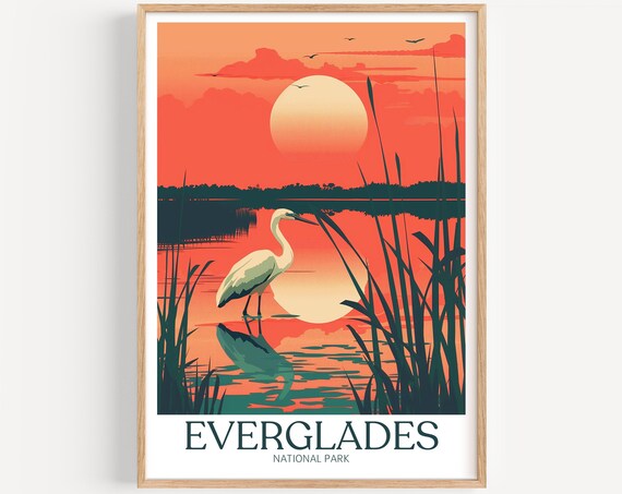 Everglades National Park White Egret in Wetlands at Sunset Poster