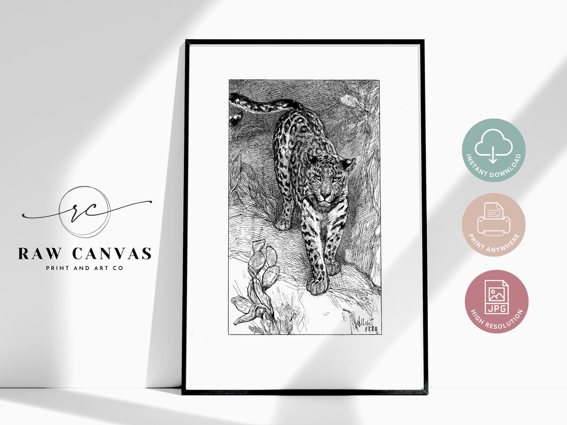 Vintage Leopard Art Print, Antique Animal Illustration