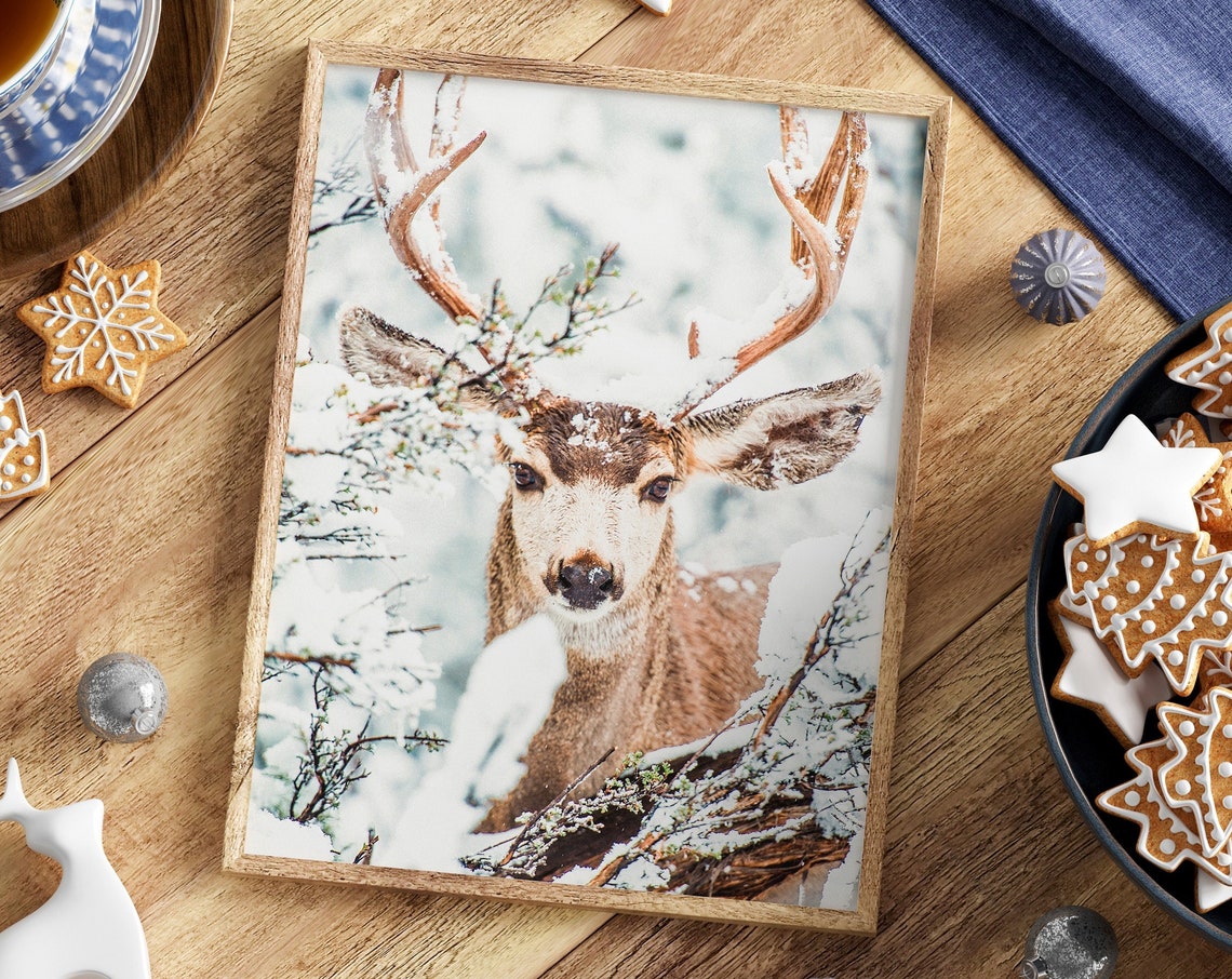 Majestic Stag in Snowy Winter Forest Close-Up Wildlife Art Poster
