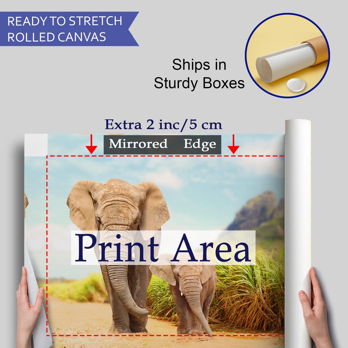 African Elephant And Calf Walking Savannah Trail Wildlife Poster - Image 4