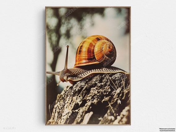 Snails Leisurely Trek, Mid-Century Modern Art Print
