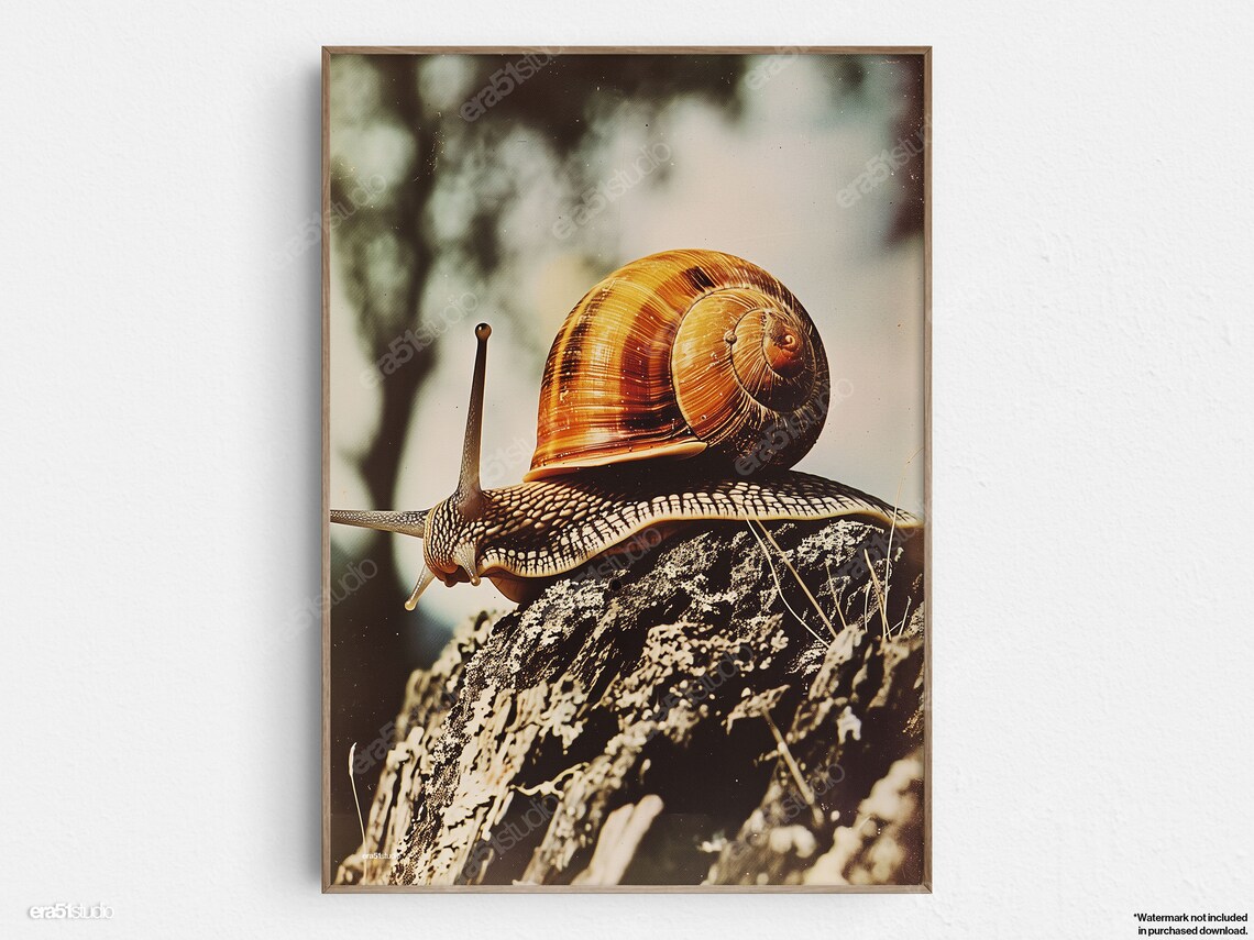 Snails Leisurely Trek, Mid-Century Modern Art Print