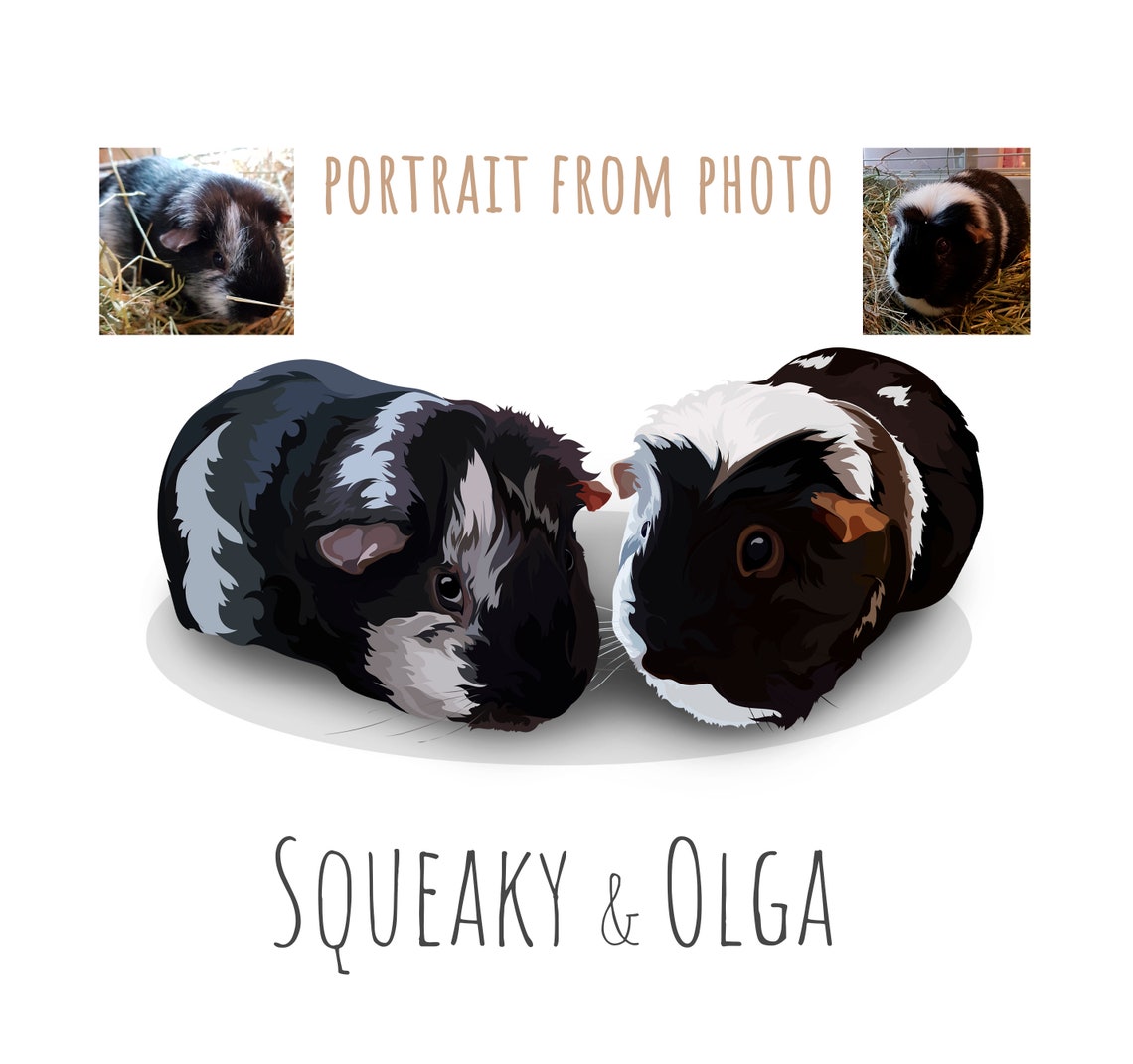 Custom Two Guinea Pig Portrait Squeaky And Olga Pair Gift Poster