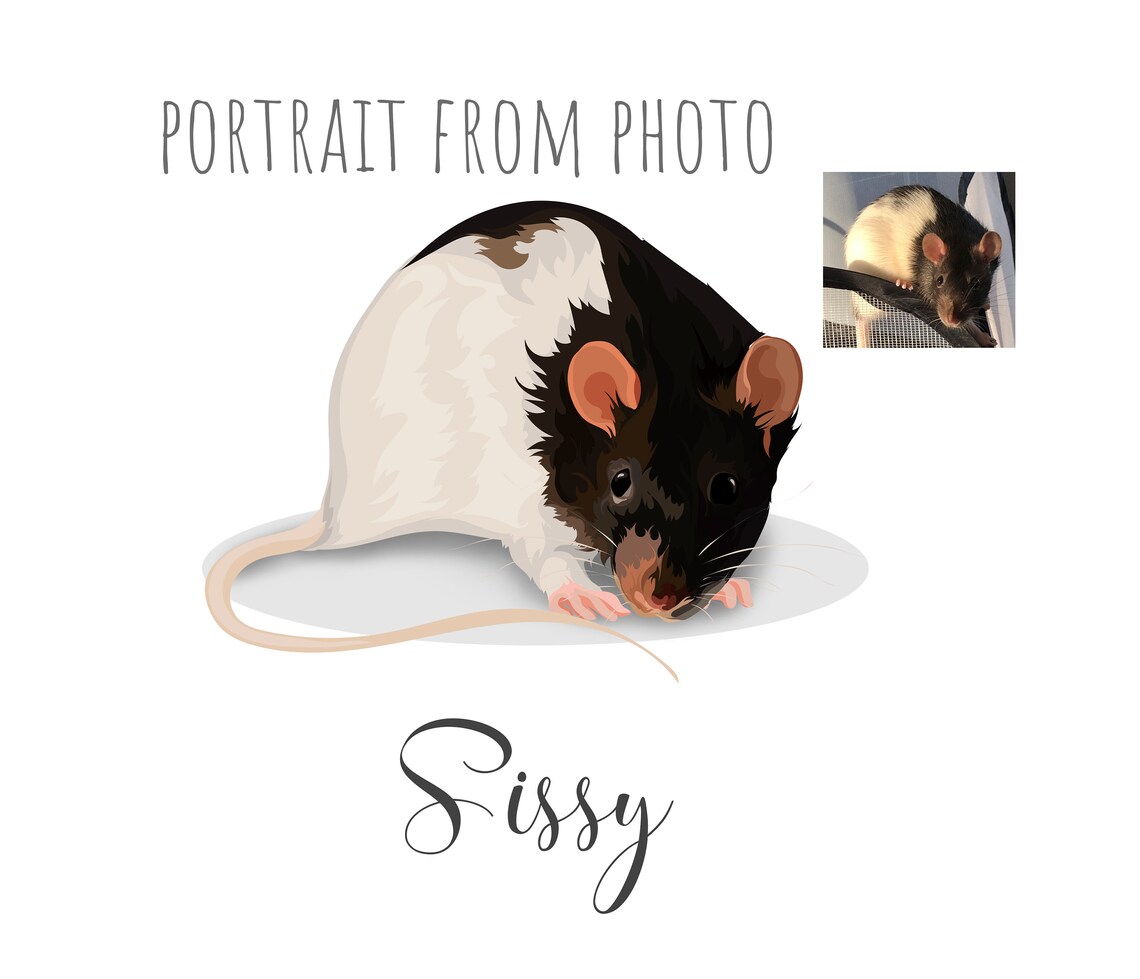 Sissy the Pet Rat Portrait From Photo Custom Illustration Poster