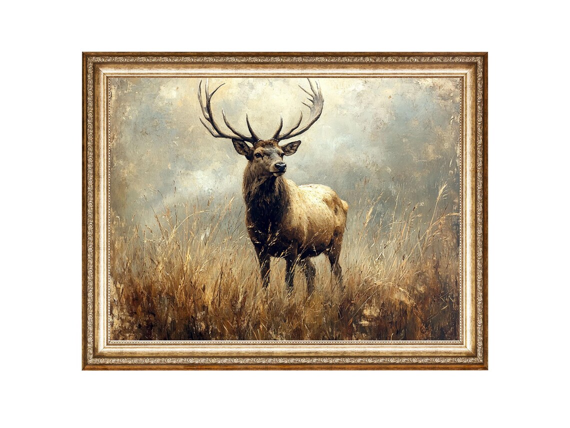 Rustic Stag With Antlers Standing In A Golden Grass Field Poster
