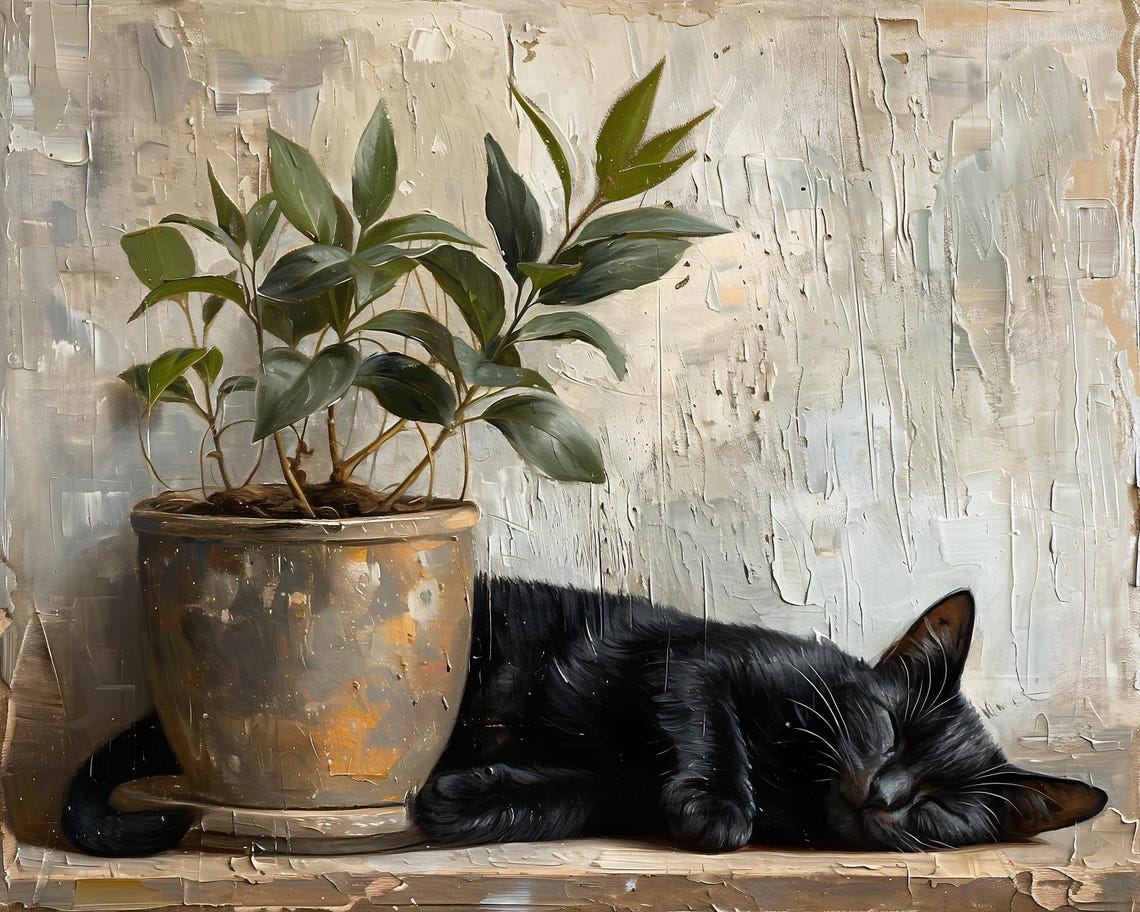 Black Cat Sleeping Beside a Potted Plant on a Wooden Shelf Poster - Image 2