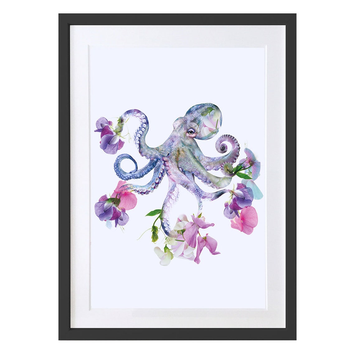 Octopus Sea Life Art Print