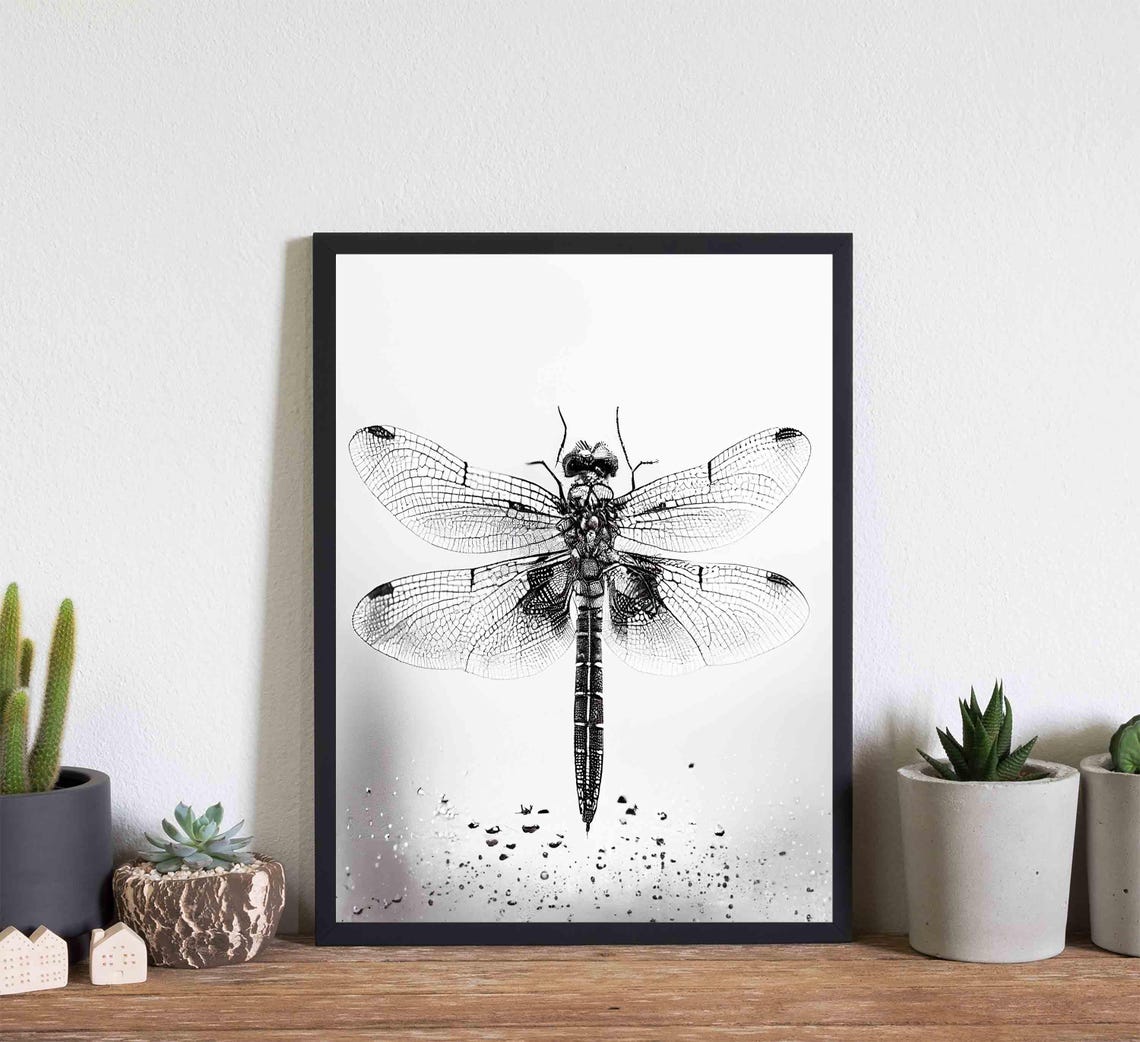 Dragonfly Black And White Animal Art Print Wall Art Poster Original Paint Artwork Artwork Decor - Image 2