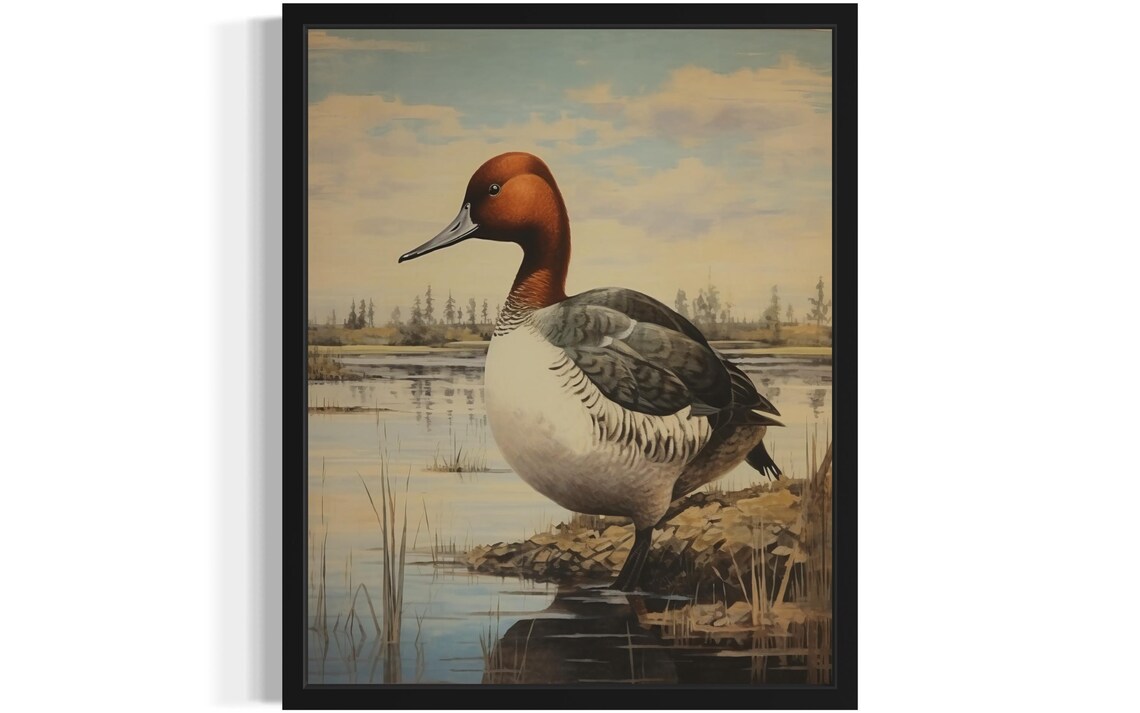 Canvasback Waterfowl Art Print, Original Paint Artwork