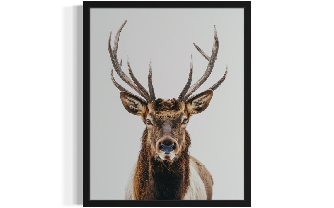 Noble Elk Stag with Grand Antlers Minimalist Wildlife Photo Poster