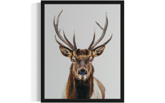 Noble Elk Stag with Grand Antlers Minimalist Wildlife Photo Poster
