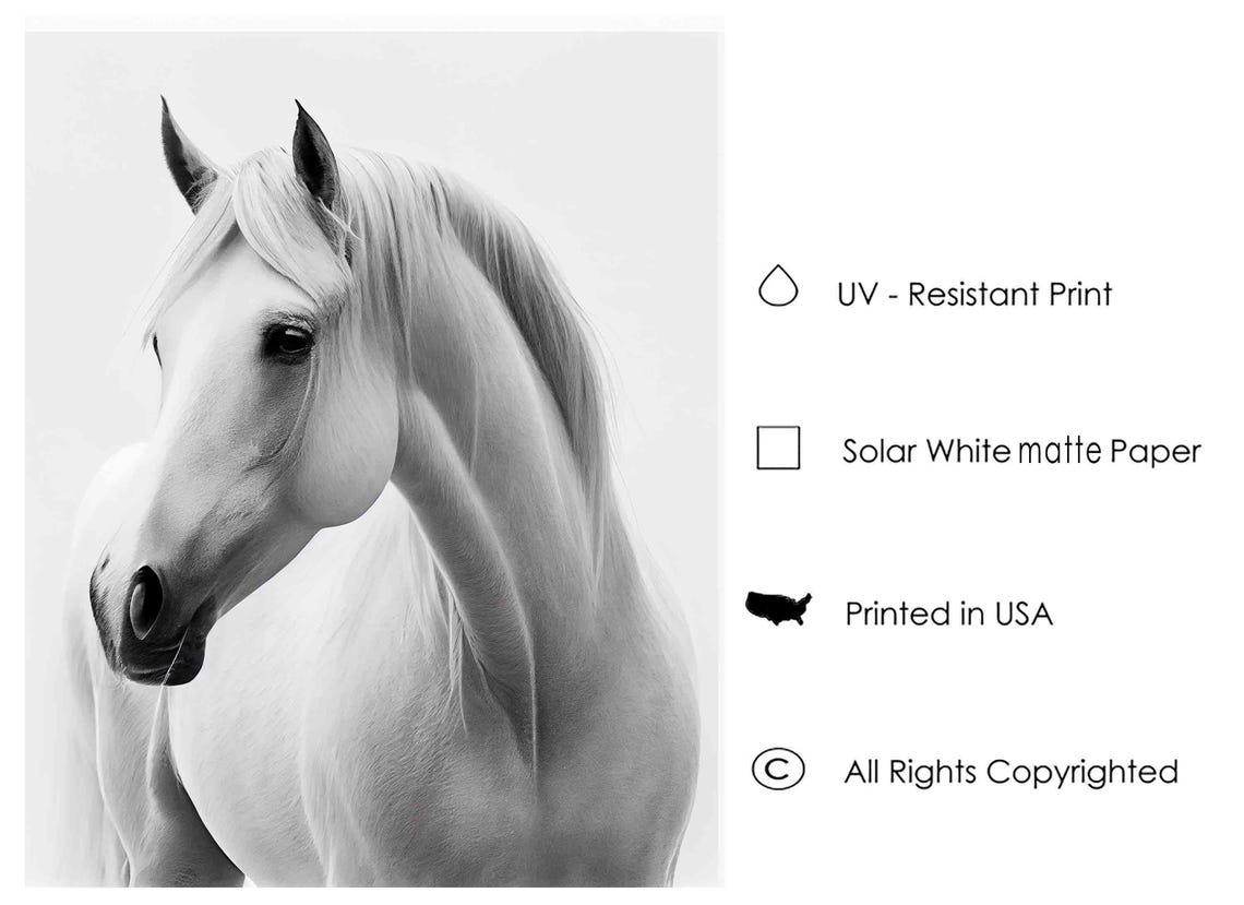 Elegant White Horse Profile Portrait in Black and White Art Poster - Image 2