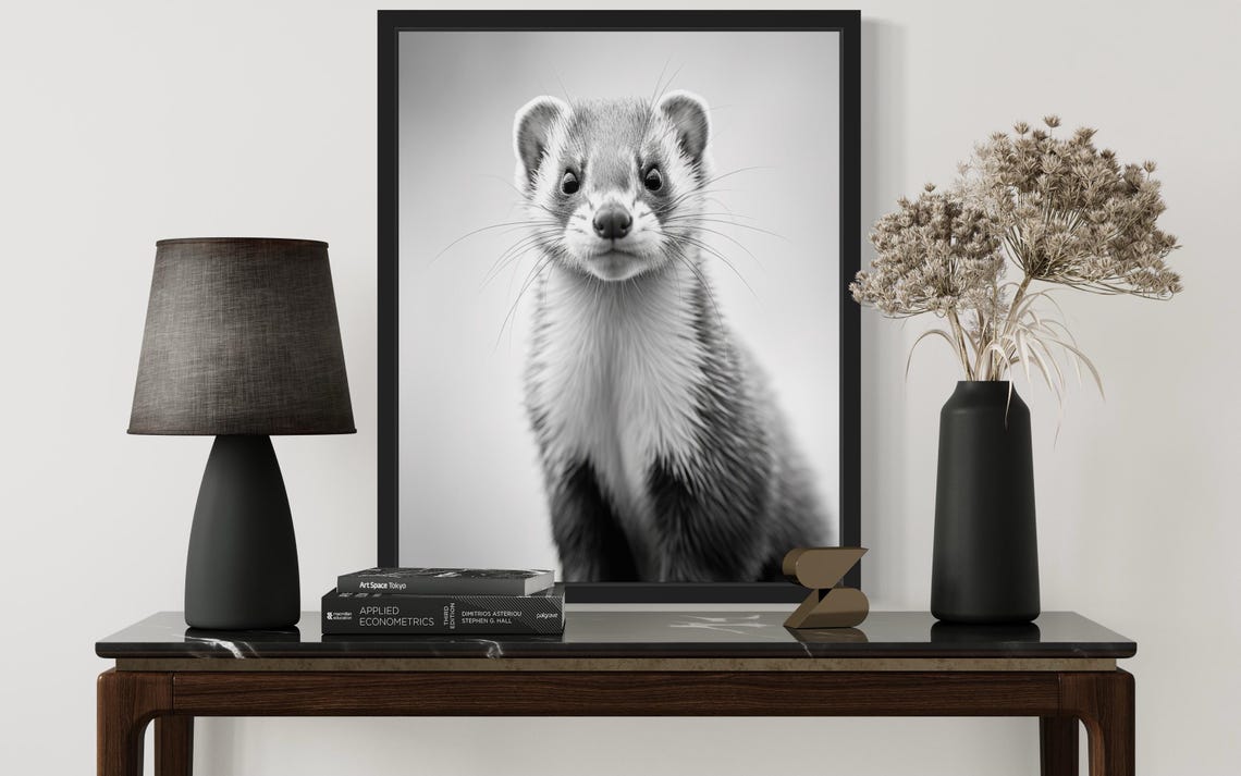 Ferret Portrait Looking At Camera Black And White Photo Poster - Image 2