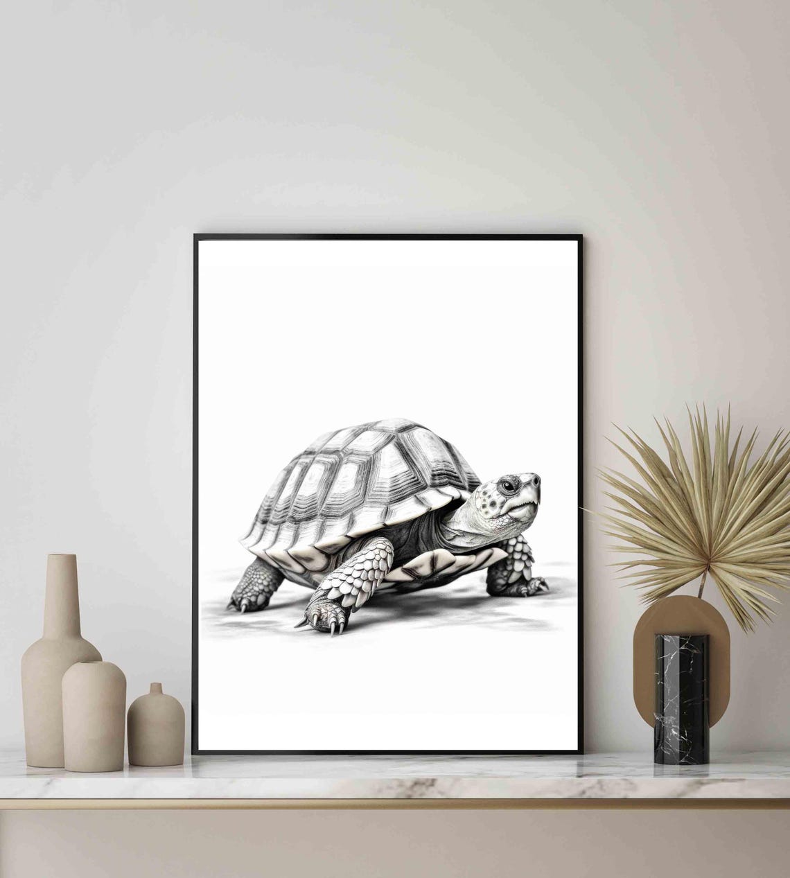 Tortoise Black and White Detailed Reptile Studio Portrait Poster - Image 2
